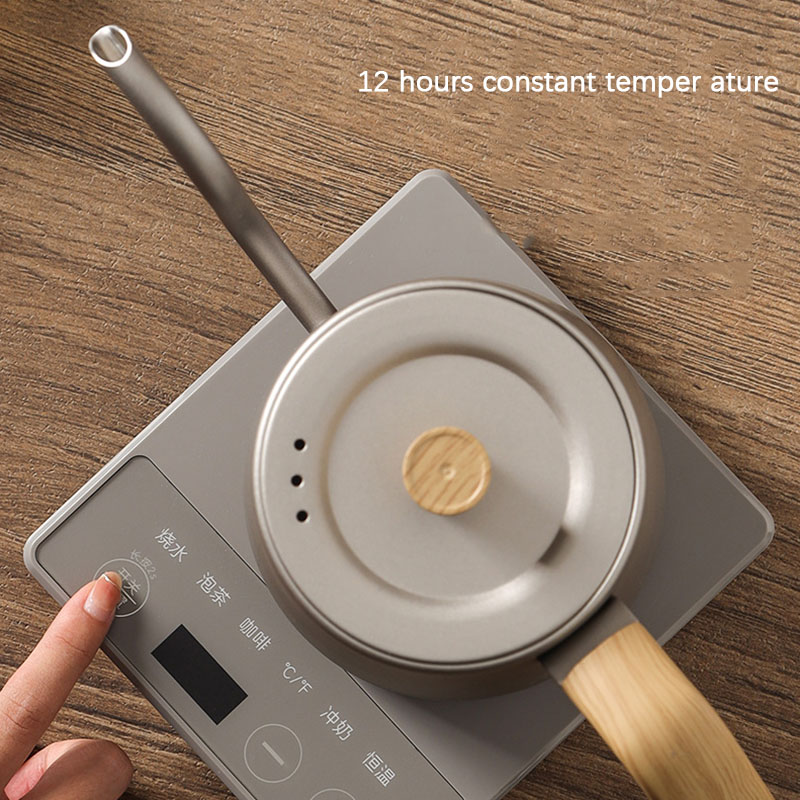 110v 220v Kettle teapot goose  – Electric Kettle Gooseneck Bewertung und Preis