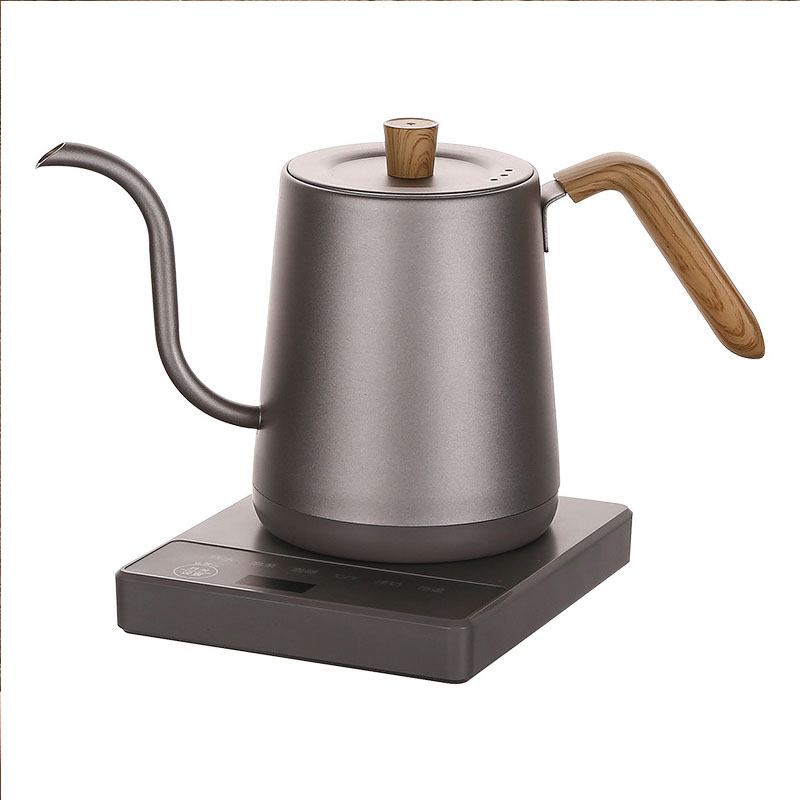110v 220v Kettle teapot goose  – Electric Kettle Gooseneck Bewertung und Preis