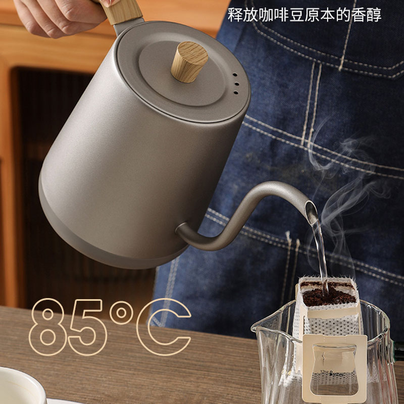 110v 220v Kettle teapot goose  – Electric Kettle Gooseneck Bewertung und Preis