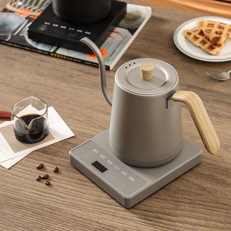 110v 220v Kettle teapot goose  – Electric Kettle Gooseneck Bewertung und Preis