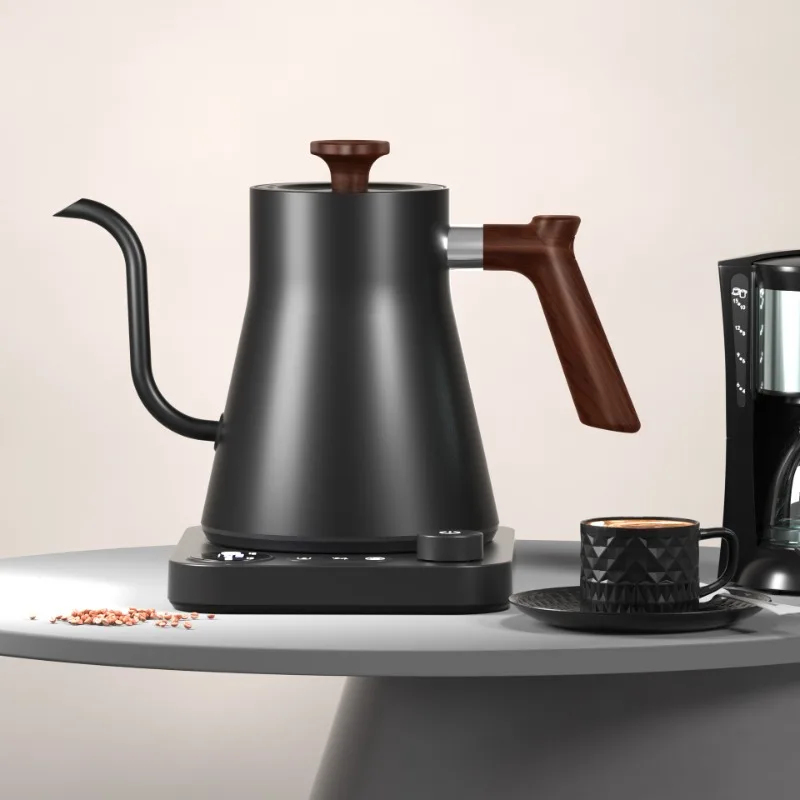 2026 New Smart Temperature Con – Electric Kettle Gooseneck Bewertung und Preis
