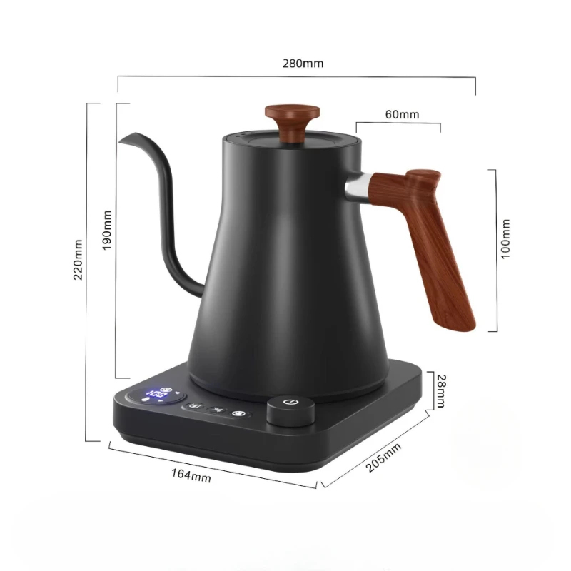 2026 New Smart Temperature Con – Electric Kettle Gooseneck Bewertung und Preis
